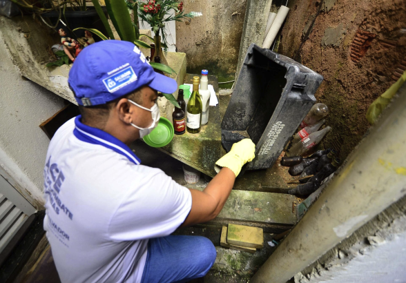 Dengue: seis cidades baianas vivem situação de epidemia
