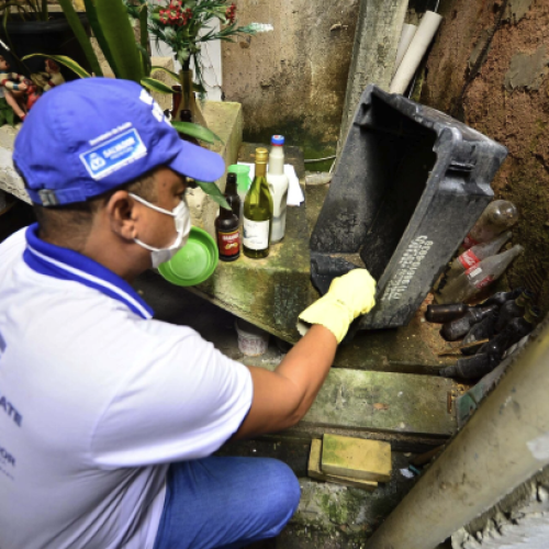 Dengue: seis cidades baianas vivem situação de epidemia